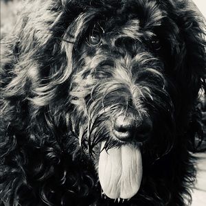 Meet your Posher, Karen